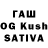 ГАШИШ hashish RacoonSan,@TVRzv