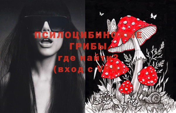 гашиш Магас