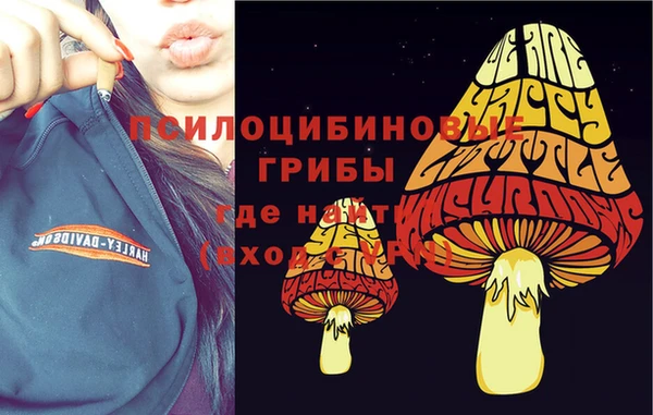 герыч Магадан