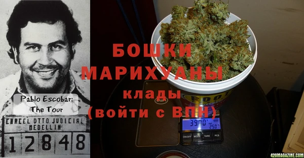 стафф Кострома