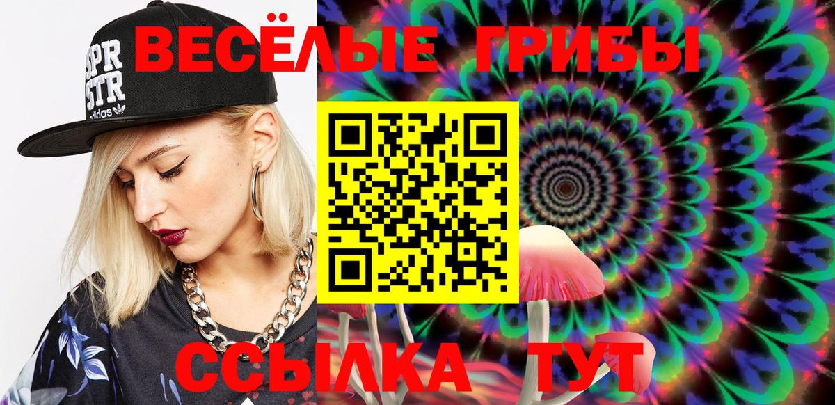 Псилоцибиновые грибы Cubensis Геленджик