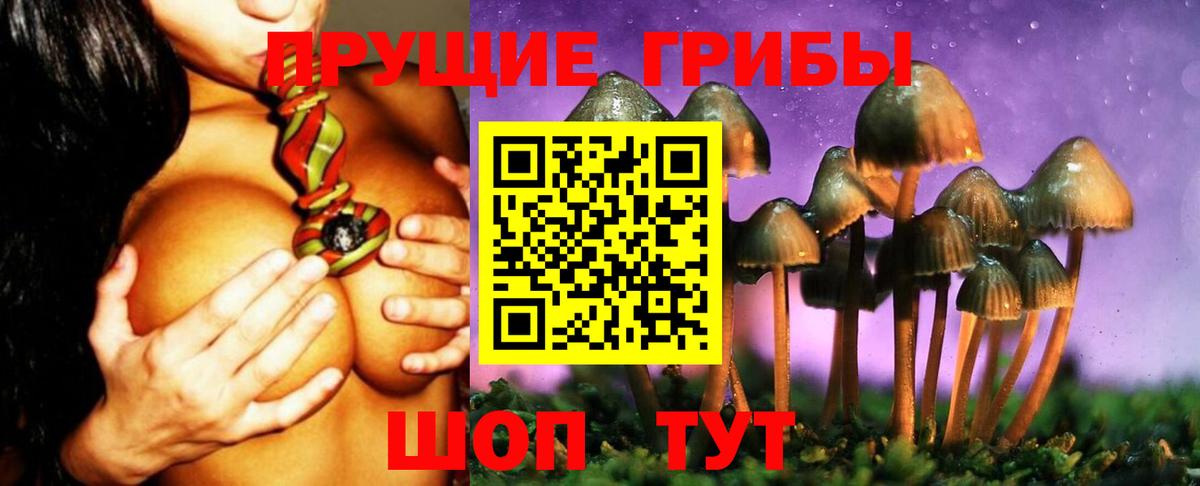 Галлюциногенные грибы мицелий  Псилоцибиновые грибы Psilocybine cubensis  Геленджик 