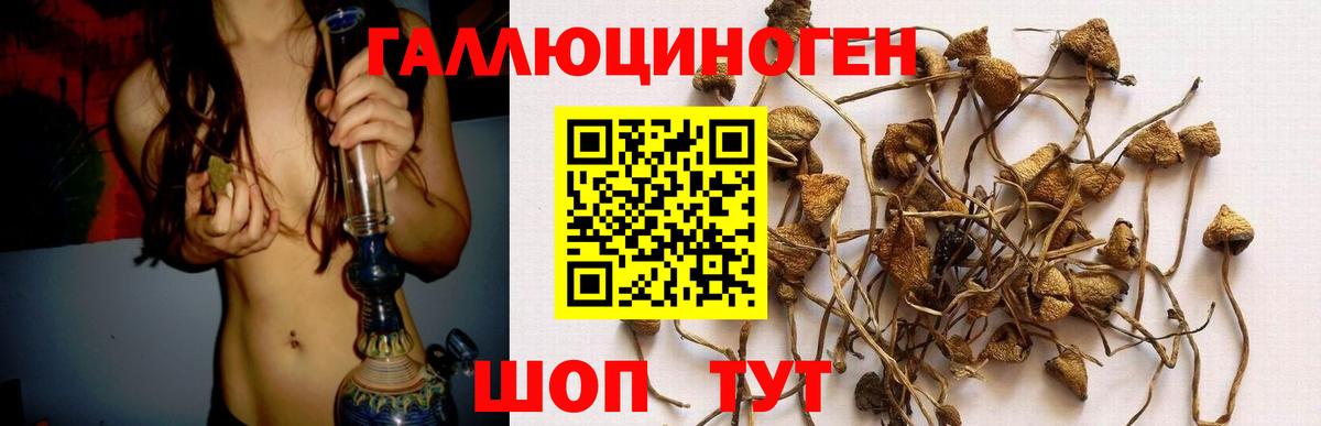 АМФЕТАМИН Геленджик